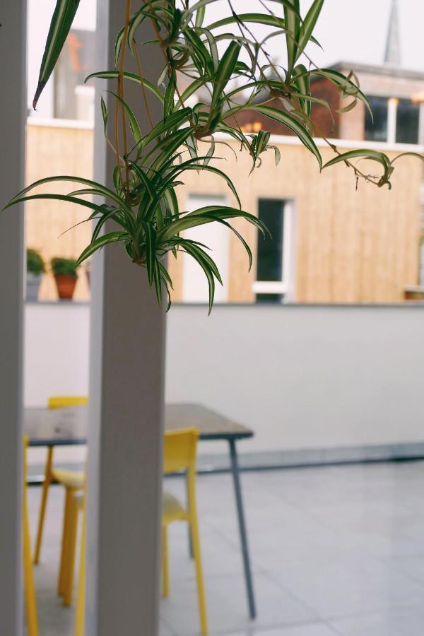 130Sqm Appartment With 20Sqm Terras And Free Parking Antuérpia Exterior foto